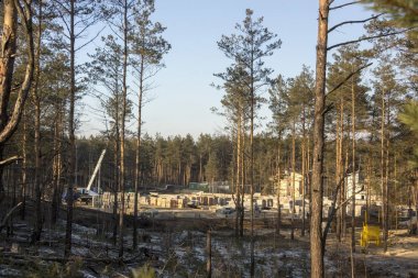 Site yeni konut inşaat şantiye ormandaki