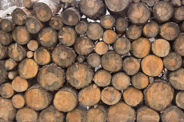 Redonda textura de madeira fundo close up — Fotografia de Stock