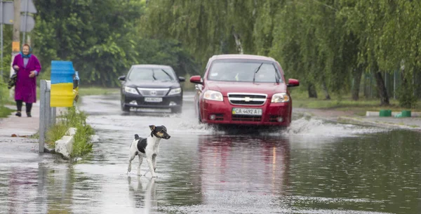 21 juni, Vyshenky Ukraina. Konsekvenserna av duschen. Bil stänk genom en stor pöl på en översvämmad gata. — Stockfoto