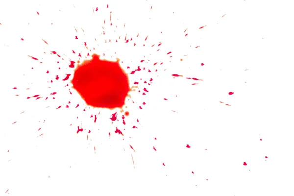 Gotas de sangre roja sobre papel blanco — Foto de Stock