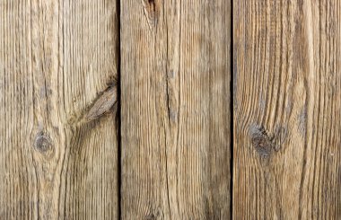 closeup arka plan sarı ahşap doku