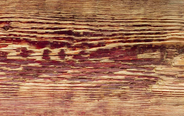 Fondo de primer plano de textura de madera amarilla — Foto de Stock