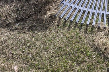 Çim havalandırma sonra yeşil çimenlerin üzerinde birçok keçeleri