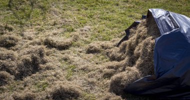 Çim havalandırma sonra yeşil çimenlerin üzerinde birçok keçeleri