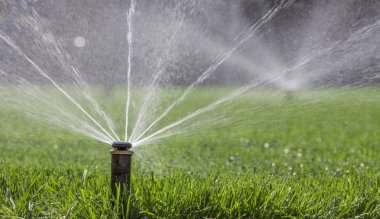 Otomatik fıskiye sistemi yeşil çimlerin arka planında çimleri suluyor