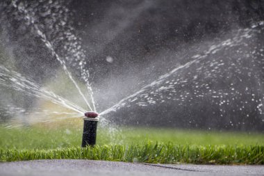 Otomatik fıskiye sistemi yeşil çimlerin arka planında çimleri suluyor