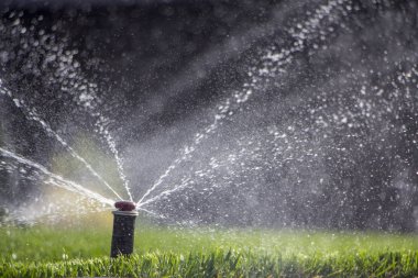 Otomatik fıskiye sistemi yeşil çimlerin arka planında çimleri suluyor