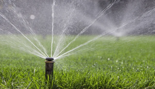 Automatic sprinkler system watering the lawn on a background of green grass — Stock Photo, Image