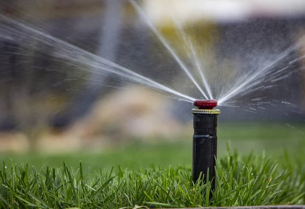Automatische sprinkler systeem besproeiing van het gazon op een achtergrond van groen gras — Stockfoto