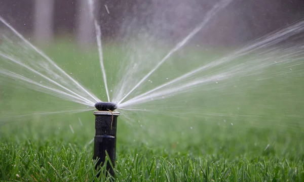 Automatisk sprinkler system vattna gräsmattan på en bakgrund av grönt gräs — Stockfoto