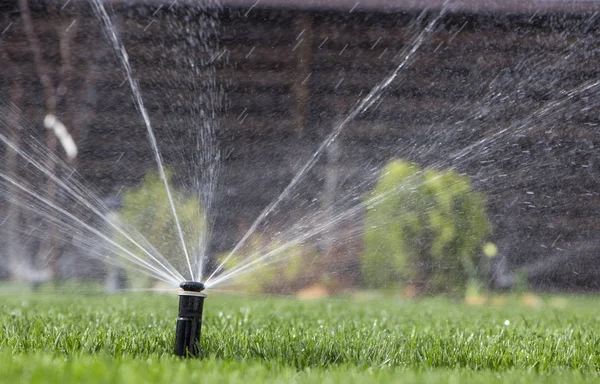 Automatisk sprinkler system vattna gräsmattan på en bakgrund av grönt gräs — Stockfoto