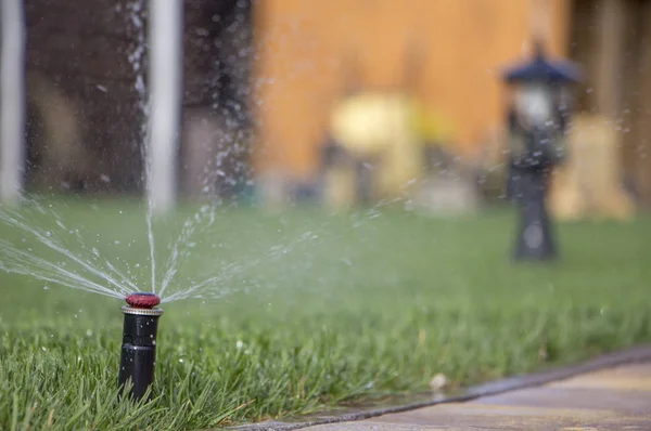 automatic sprinkler system watering the lawn on a background of green grass