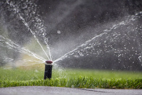 Otomatik fıskiye sistemi yeşil çimlerin arka planında çimleri suluyor