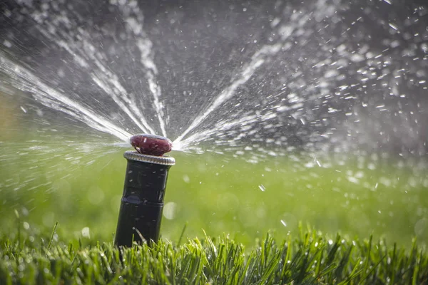 Otomatik fıskiye sistemi yeşil çimlerin arka planında çimleri suluyor