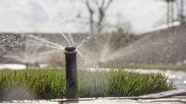 푸른 잔디 위에서 잔디에 물을 주는 자동 스프링클러 시스템 — 스톡 사진