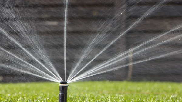 automatic sprinkler system watering the lawn on a background of green grass