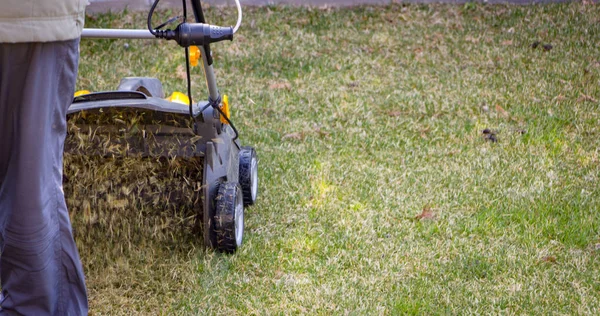 Gärtner bedient Bodenbelüftungsmaschine auf Rasen — Stockfoto