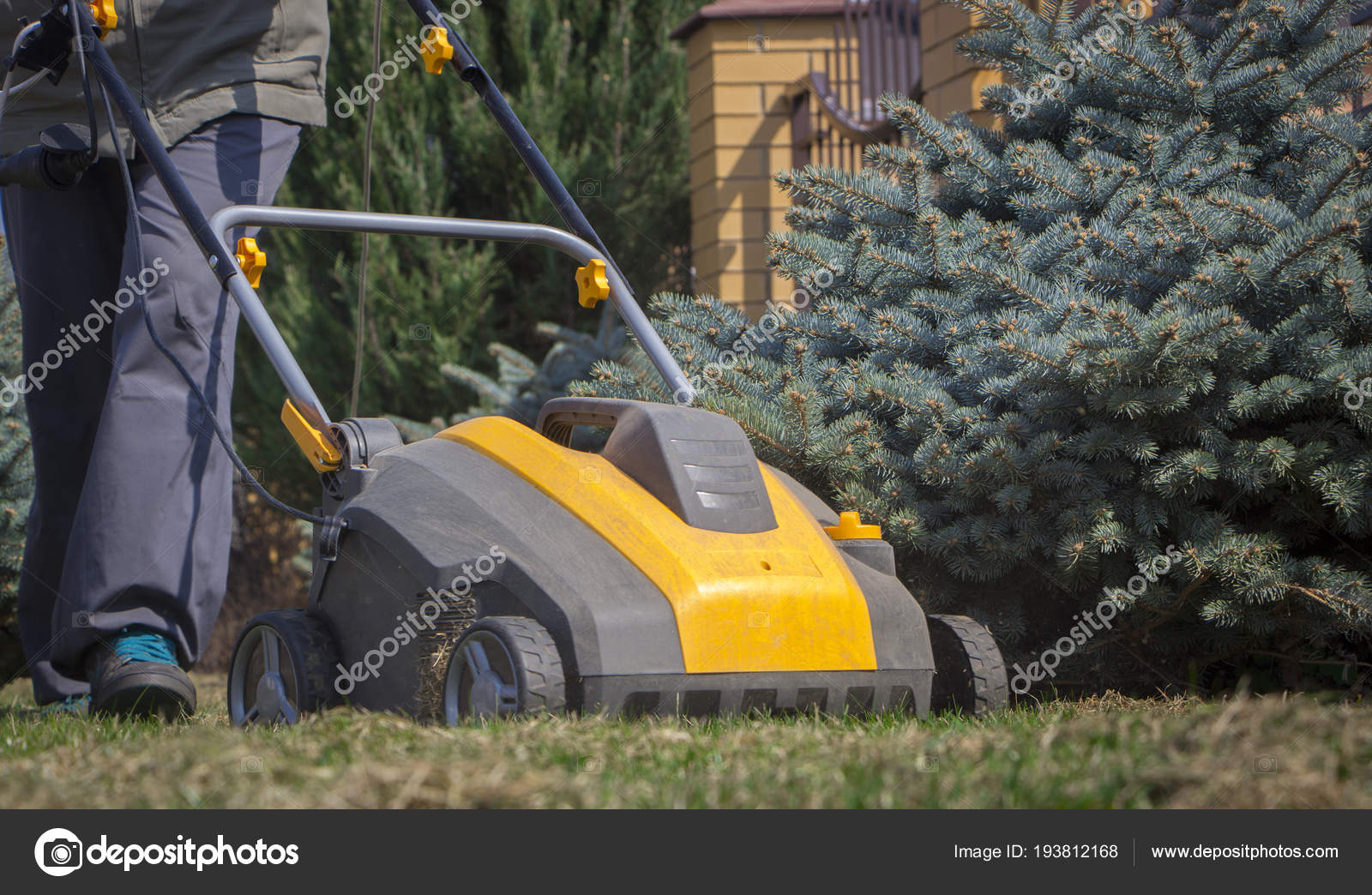 Gardener Operating Soil Aeration Machine on Grass Lawn Stock Photo by