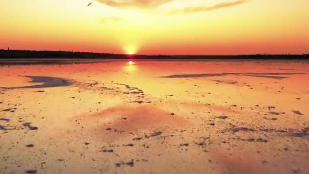 Pôr do sol sobre o lago, gaivotas no céu — Vídeo de Stock