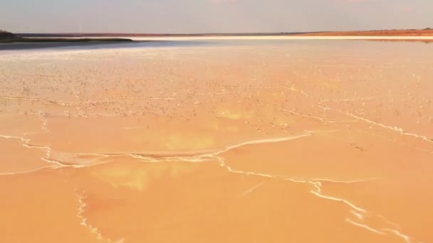 Gaivotas pôr do sol voando sobre lago de sal amarelo — Vídeo de Stock