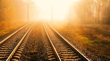 Sonbaharda demiryolu şafakta bulanık bir orman.