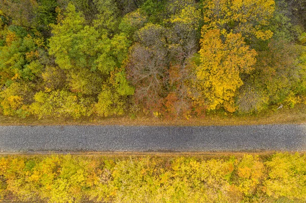 Дорога в вечернем осеннем лиственном лесу. Вид на дрон . — стоковое фото