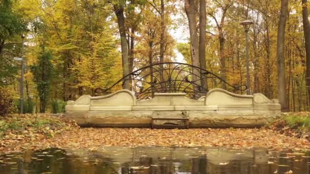 Río y puente en el parque de otoño, vuelo lento . — Vídeos de Stock