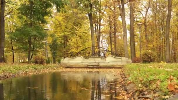 Río y puente en el parque de otoño, vuelo lento . — Vídeo de stock