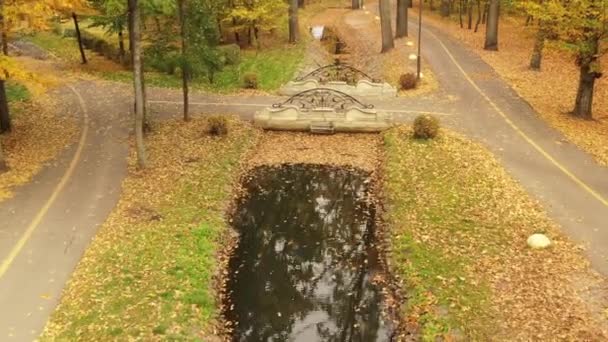 Río y puente en el parque de otoño, vuelo lento . — Vídeo de stock