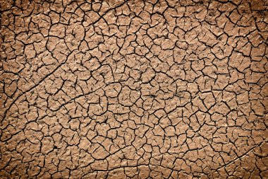 Küresel ısınmanın güneşten çatlamış toprak üzerindeki etkisi ve tüm hayvan ve bitki örtüsünün kaybı..