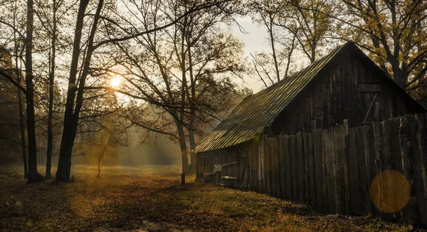 Stary opuszczony dom w jesiennym lesie rano — Zdjęcie stockowe