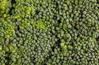 Brassica oleracea var italica Macro shot taze yeşil brokoli.