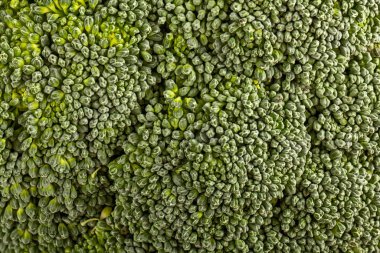 Brassica oleracea var italica Macro shot taze yeşil brokoli.