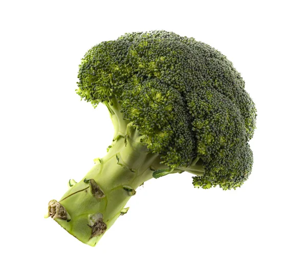 Brassica oleracea var italica Broccoli isolata su fondo bianco — Foto Stock