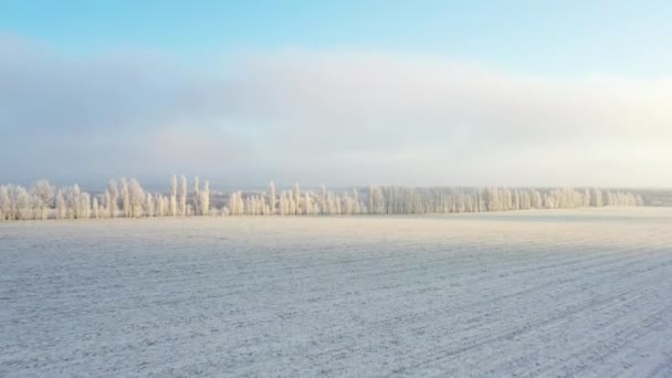 Campos cubiertos de nieve al amanecer, en tiempo de niebla . — Vídeos de Stock