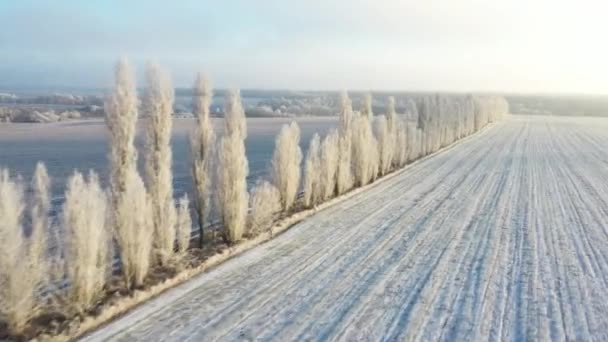 Campos cubiertos de nieve al amanecer, en tiempo de niebla . — Vídeos de Stock