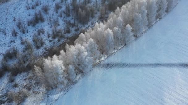 Langsamer Flug über Winterwald mit Raureifbäumen. — Stockvideo