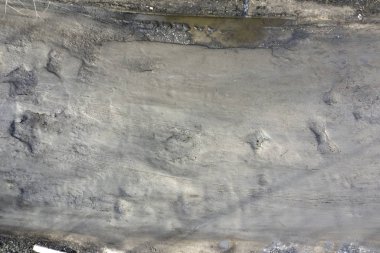 Büyük çukurlar asfalt yolda suyla doludur.