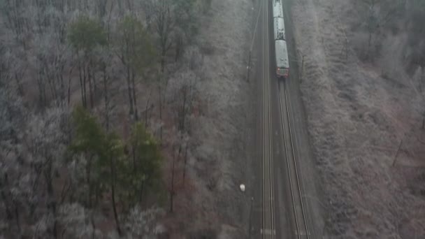 Pociąg podmiejski odjeżdża o zachodzie słońca przez jesienny las. — Wideo stockowe