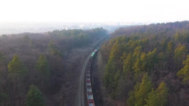 Lähiö juna menee auringonlaskuun läpi syksyn metsä . — kuvapankkivideo