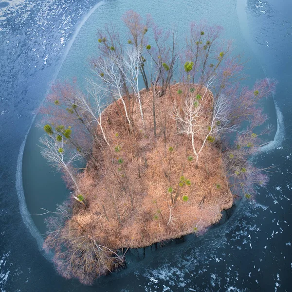 A small island in the center of a frozen lake. Autumn landscape. — 스톡 사진