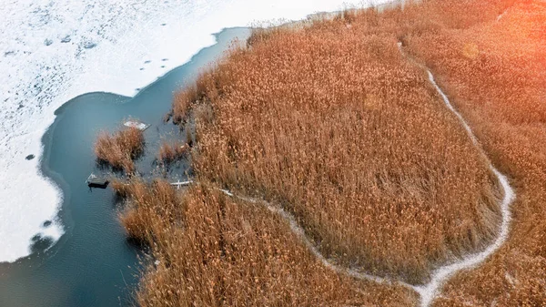 Yellow dry reed, on the shore of a frozen lake, autumn landscape, drone view. — 스톡 사진