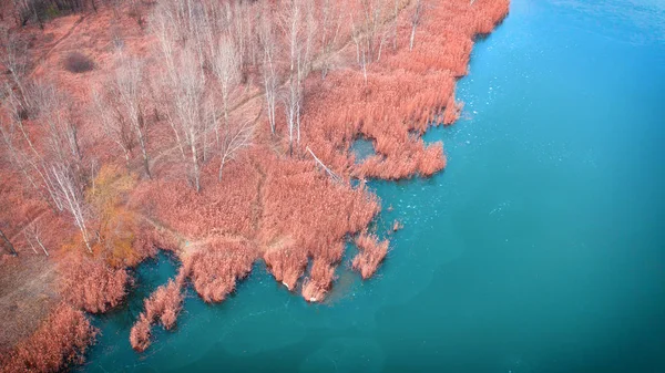 Giallo canna secca, sulla riva di un lago ghiacciato, paesaggio autunnale, vista drone . — Foto Stock