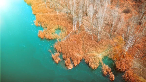 Sárga száraz nád, a parton egy befagyott tó, őszi táj, drónra néző. — Stock Fotó