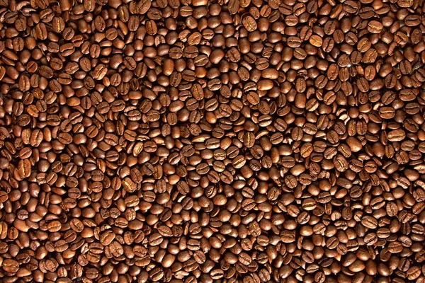 Coffee seeds, texture, natural organic dark background. — Stock Photo, Image