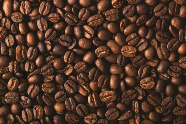 Texture of coffee seeds, selective focus, close-up — Stock Photo, Image