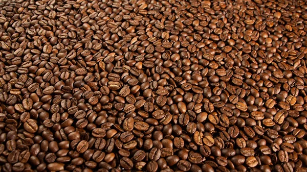 Texture of coffee seeds, selective focus, close-up — Stock Photo, Image