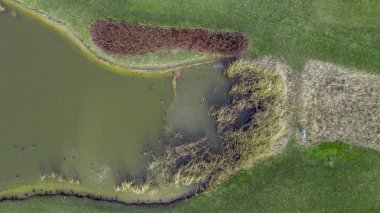 Mezhigorye Milli Parkı 'nda göllü yüksek kaliteli golf sahaları. Yeşil çimenler, küçük mavi göller..