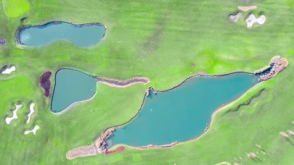 Hochwertige Golfplätze Mit Seen Mezhigorye Nationalpark Grünes Gras Kleine Blaue — Stockfoto