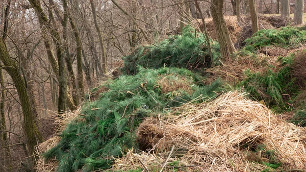 Tas Géant Compost Dans Jardin Avec Des Feuilles Des Branches — Photo